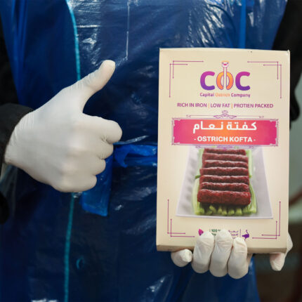 كفتة نعام 2