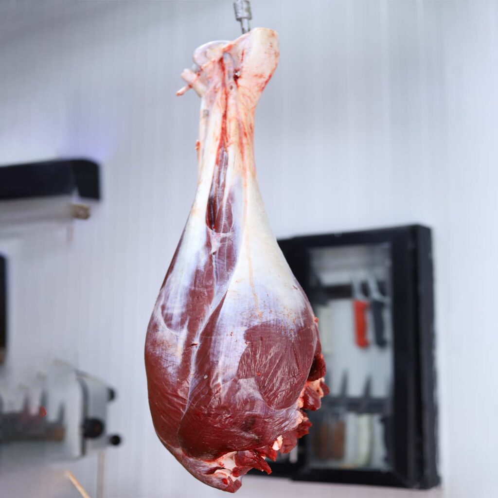 دبوس النعامة